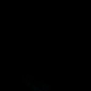 Meet your Posher, Sue